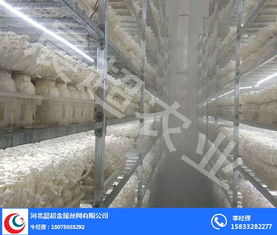出菇层架规格对比 河北晨超与连云港厂家详解